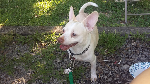 State Park «Taylorsville Lake State Park», reviews and photos, 1320 Park Rd, Mt Eden, KY 40046, USA