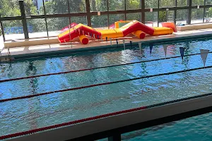 Grésilles pool in Dijon image