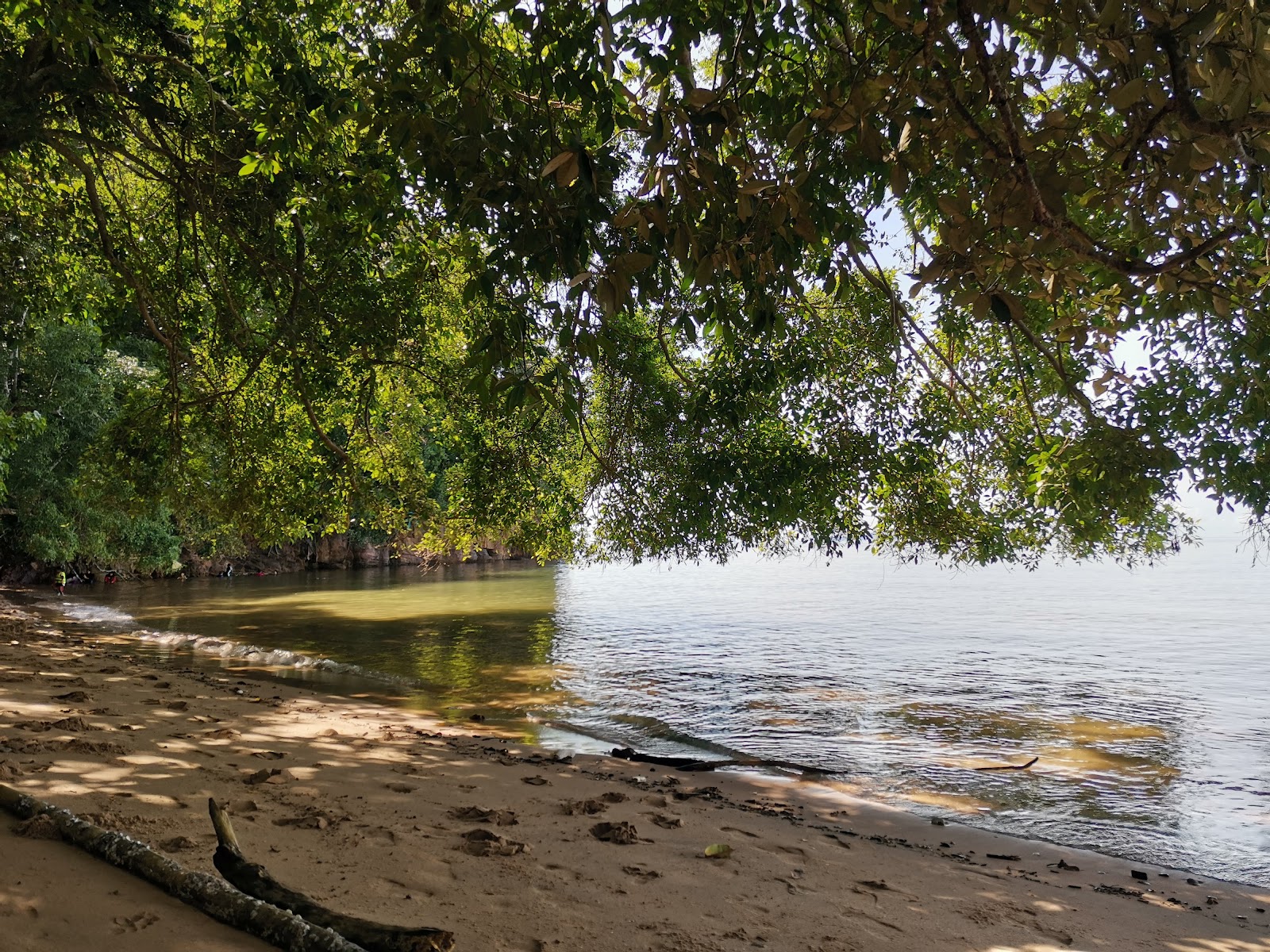 Fotografie cu Oracular Pool Beach cu o suprafață de nisip beige și pietre