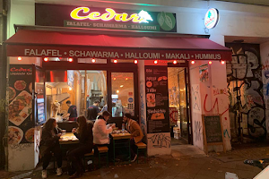 Cedar Berlin Shawarma Falafel (Schawarma) image