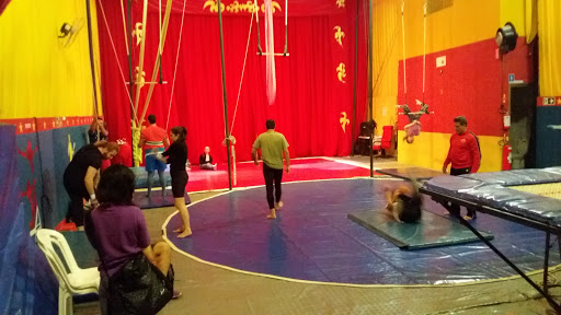 Logo da empresa - Escola de Circo Cia do Circo & Buffet de Festas