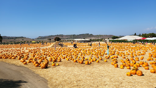 Produce Market «Underwood Family Farms», reviews and photos, 3370 Sunset Valley Rd, Moorpark, CA 93021, USA