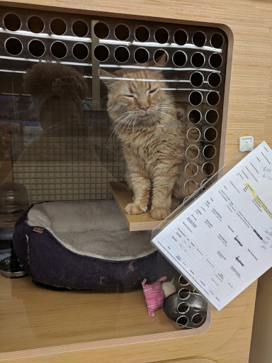 Pet Supply Store «Petco Animal Supplies», reviews and photos, 585 E Wetmore Rd, Tucson, AZ 85705, USA