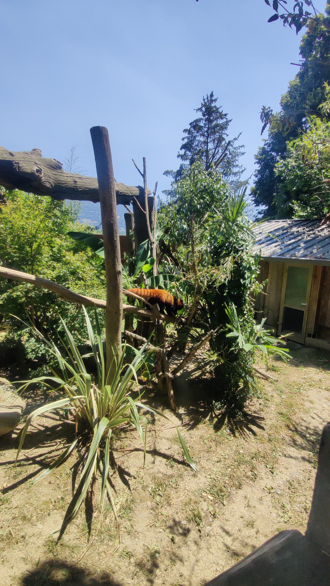 Photo n° 2 de l'avis de Fanny. fait le 19/07/2022 à 14:00