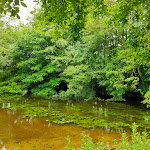 Photo n°1 de l'avis de Charlotte.o fait le 24/07/2021 à 21:17 sur le  Oppendorfer Mühle à Schönkirchen