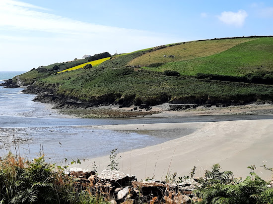 Moloney's Beach