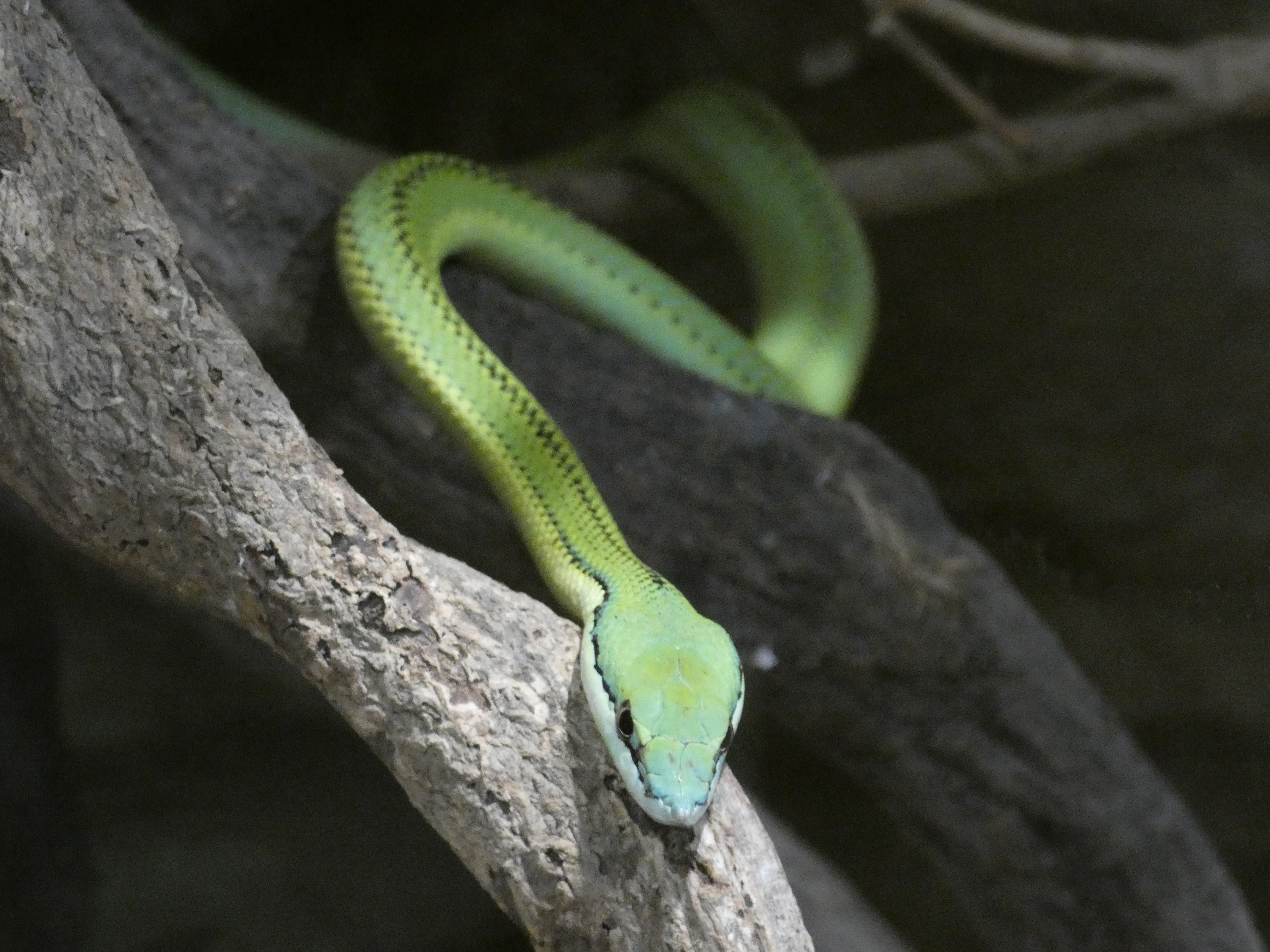 Photo n° 4 de l'avis de Matthieu.l fait le 06/06/2022 à 09:07