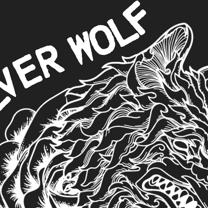 Silver Wolf Kickboxing