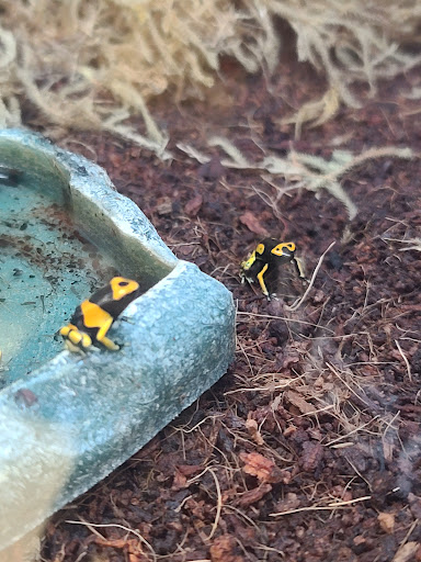 Pet Supply Store «Petco Animal Supplies», reviews and photos, 3680 Spencer Hwy, Pasadena, TX 77504, USA