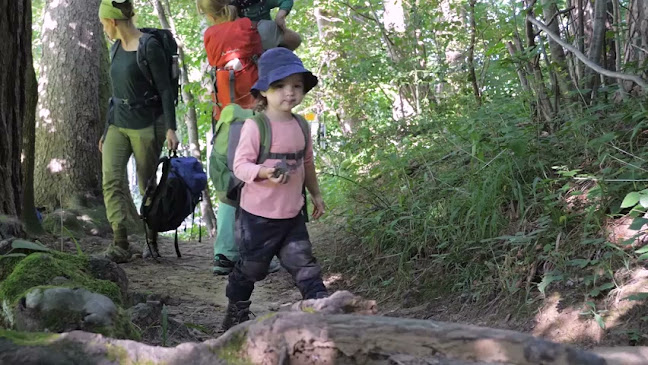 Rezensionen über Waldkinder St. Gallen in St. Gallen - Schule