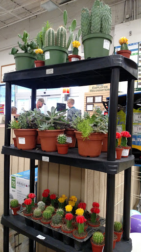 Lumber Store «Sutherlands», reviews and photos, 901 S 291st Hwy, Liberty, MO 64068, USA