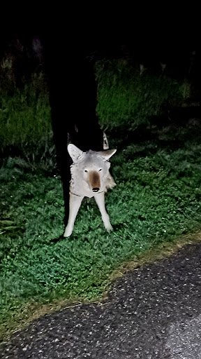 Golf Course «Braemar Golf Course», reviews and photos, 6364 John Harris Dr, Minneapolis, MN 55439, USA