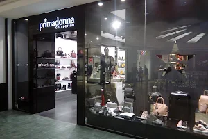 Primadonna Collection image