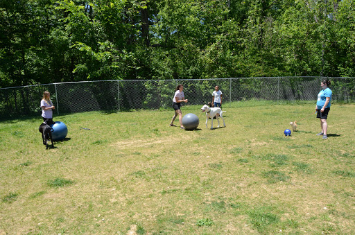 Dog Trainer «Mad 4 My Dog», reviews and photos, 702 E Temperance St, Ellettsville, IN 47429, USA