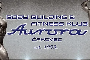 Aurora Body Building & Fitness Club image
