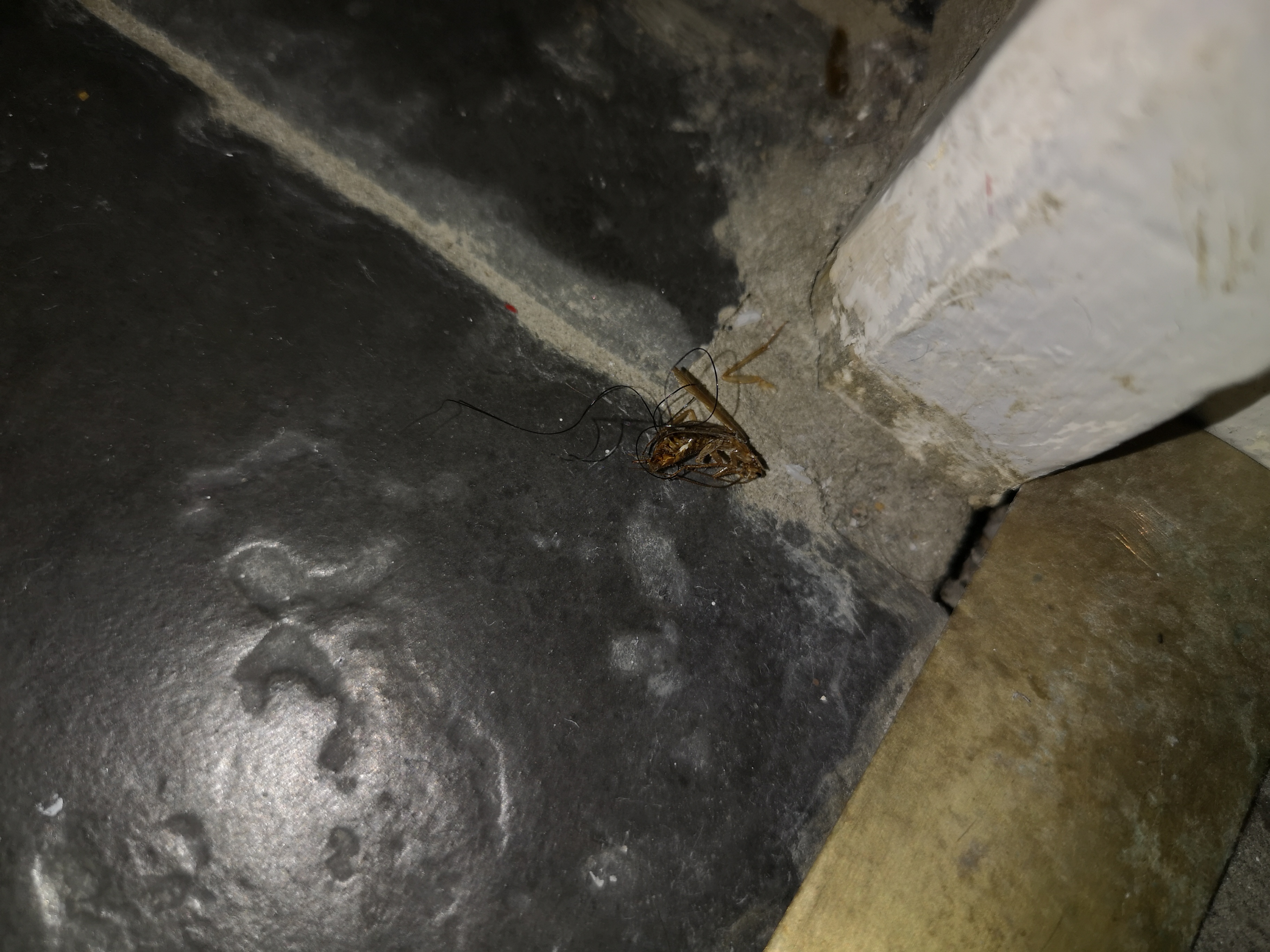 Photo n° 1 de l'avis de Bonarith.o fait le 28/08/2019 à 22:53