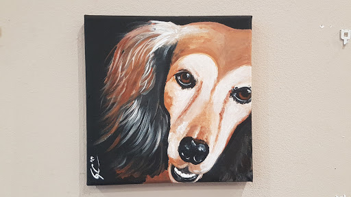 Clínica Veterinaria Svsana en Corbera de Llobregat