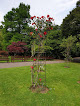 Roath Park Rose Garden