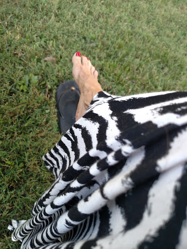 Park «Richard Siegel Park», reviews and photos, 515 Cherry Ln Dr, Murfreesboro, TN 37129, USA