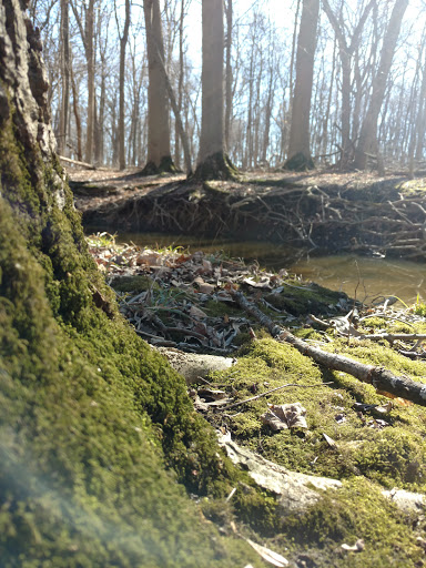 Park «Jaycee Park», reviews and photos, Beverly J Griffin Dr, Romeoville, IL 60446, USA