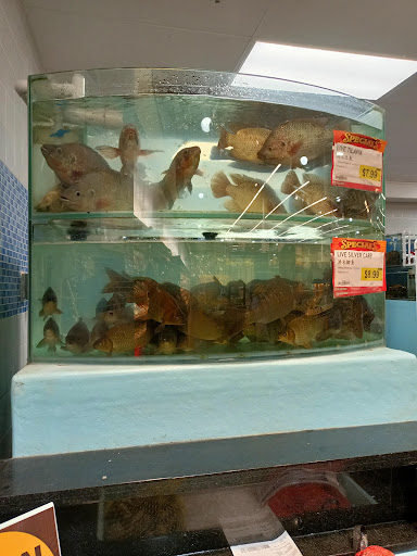 Asian Grocery Store «99 Ranch Market», reviews and photos, 25000 Blue Ravine Rd, Folsom, CA 95630, USA