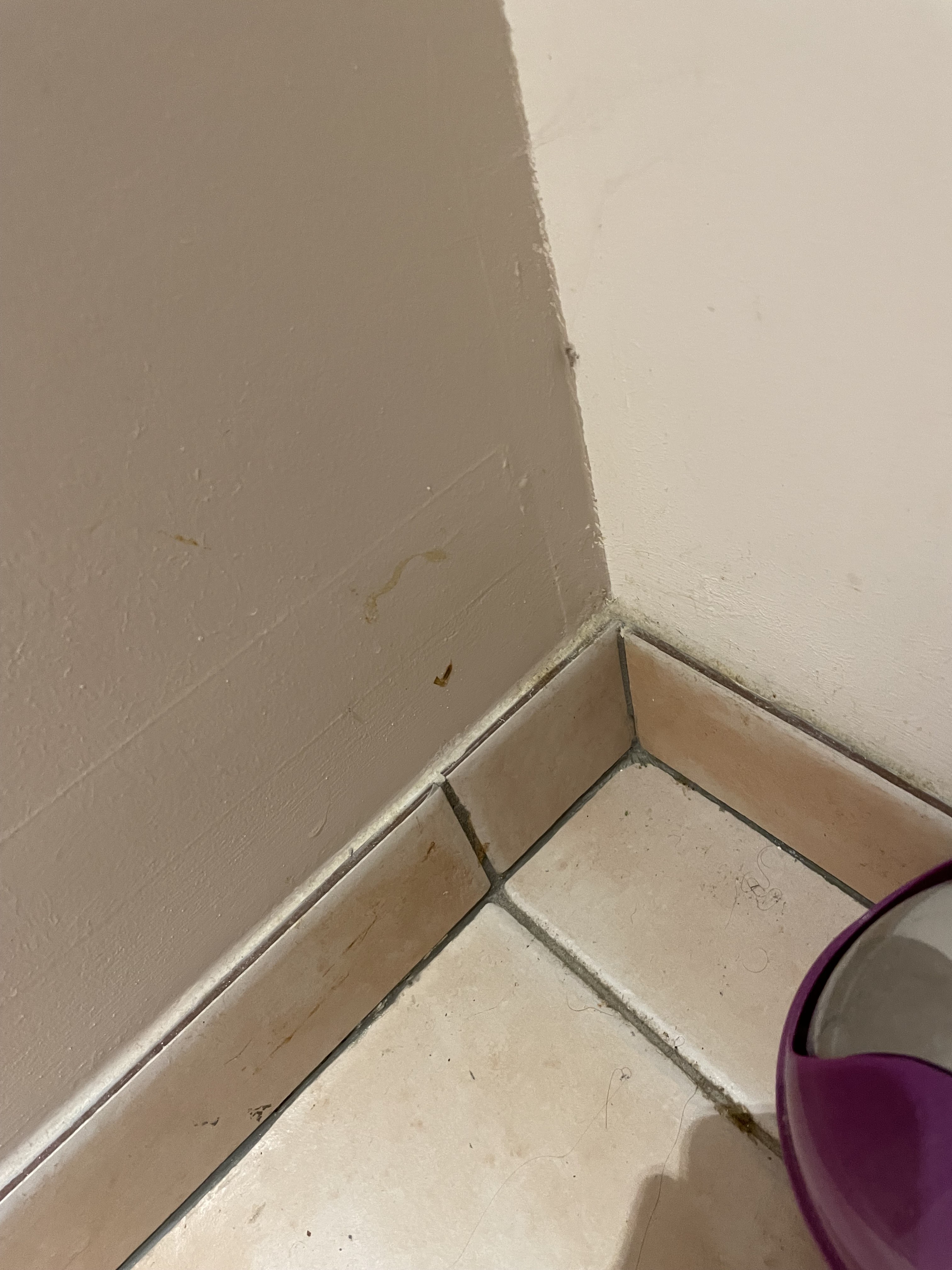 Photo n° 4 de l'avis de Rémy. fait le 20/08/2023 à 08:49