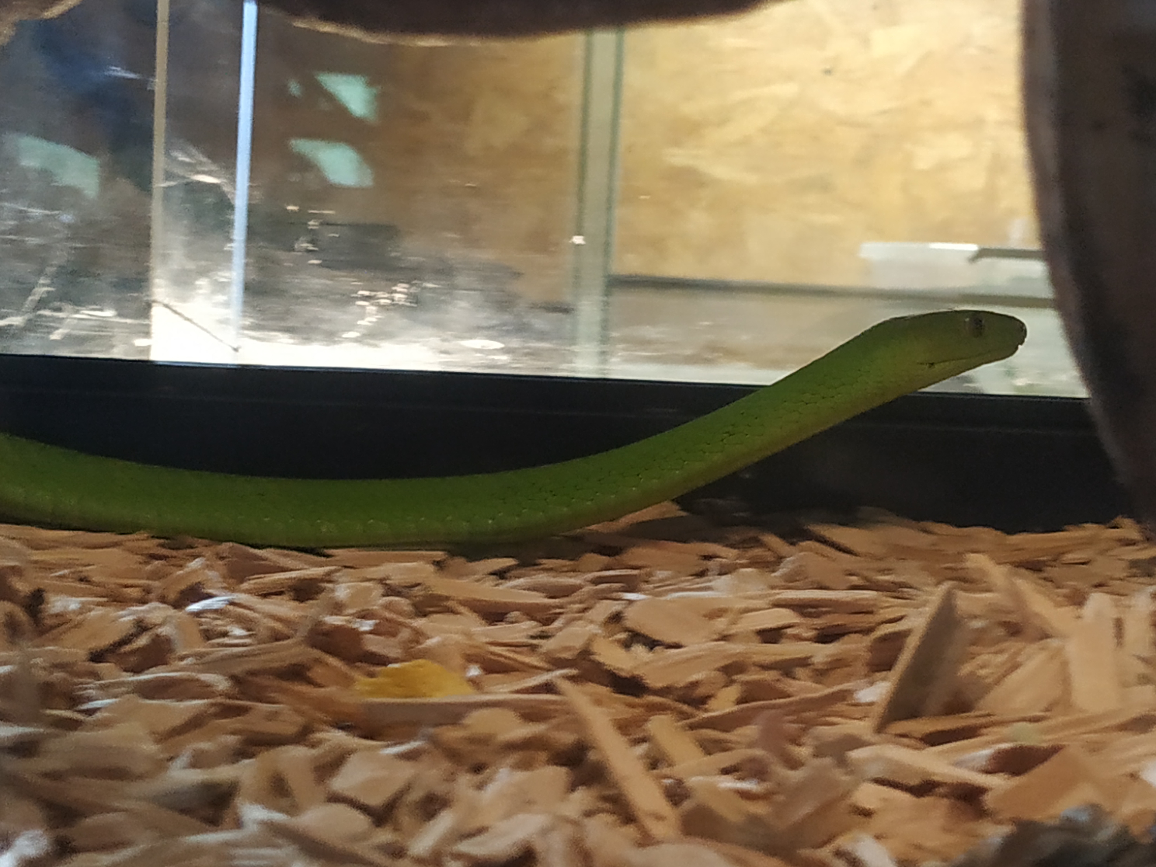 Photo n° 2 de l'avis de C-.y fait le 18/04/2022 à 21:06