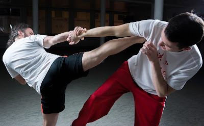 Centre d’Entrainement des Sports de Défense (CESD) à Chatou