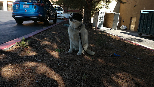 Movie Theater «Edwards Aliso Viejo 20 & IMAX», reviews and photos, 26701 Aliso Creek Rd, Aliso Viejo, CA 92656, USA