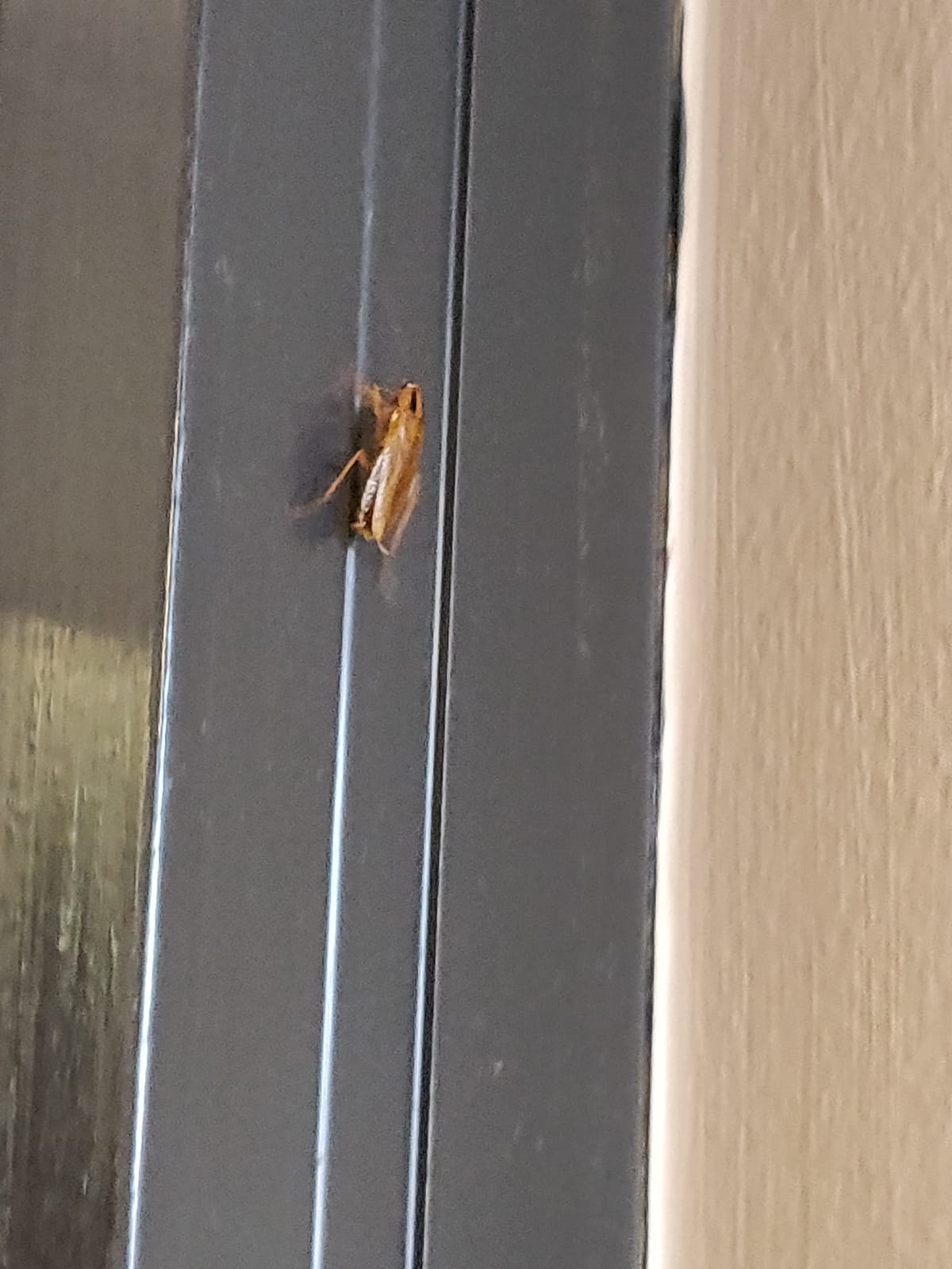 Photo n° 2 de l'avis de Virginie.a fait le 16/07/2023 à 11:25