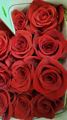 Florist «All inBloom», reviews and photos, 7909 Station St, Columbus, OH 43235, USA