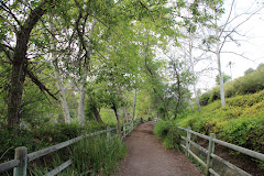 Oso Creek Trail