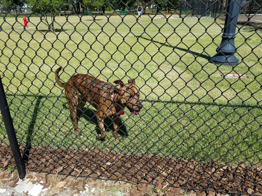 Park «Al Helms Dog Park», reviews and photos, 1022 Balboa Ave, Panama City, FL 32401, USA