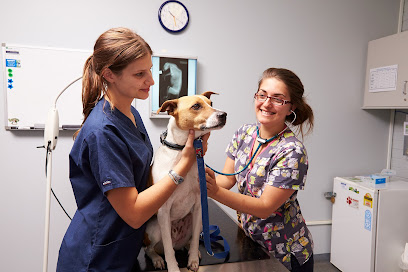 Student Veterinary Clinic at South Metropolitan TAFE (appointments only)
