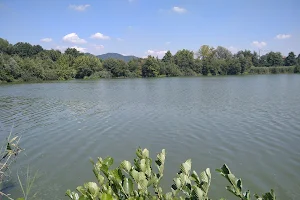 Lago di Sartirana image
