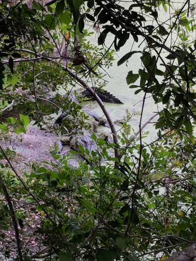 Recreation Center «Balm Park Recreation Center», reviews and photos, 14747 Balm Wimauma Rd, Wimauma, FL 33598, USA