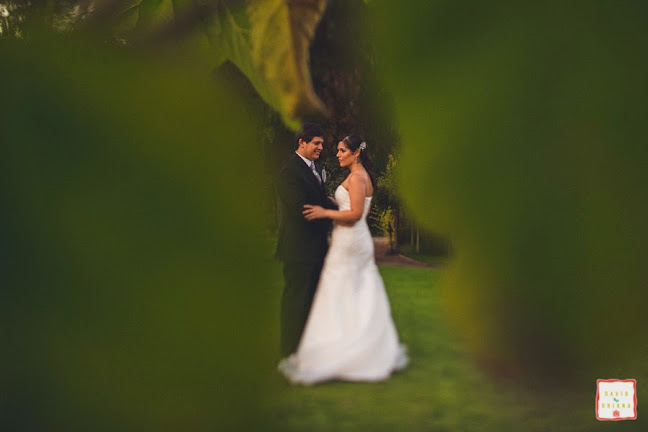 Fotógrafo matrimonios Santiago davidyoriana - Estudio de fotografía