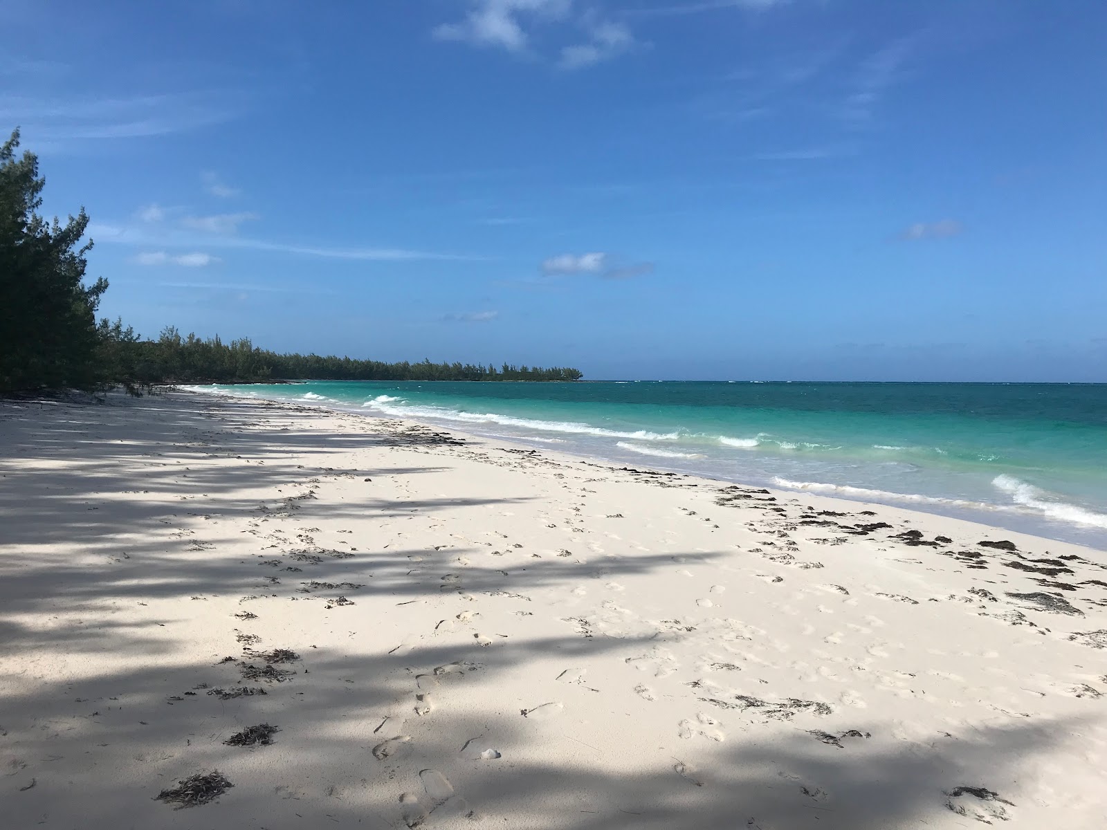 Tay Bay beach的照片 带有碧绿色纯水表面