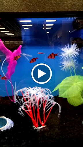 Pet Store «Pet Depot», reviews and photos, 10008 Memorial Pkwy SW, Huntsville, AL 35803, USA