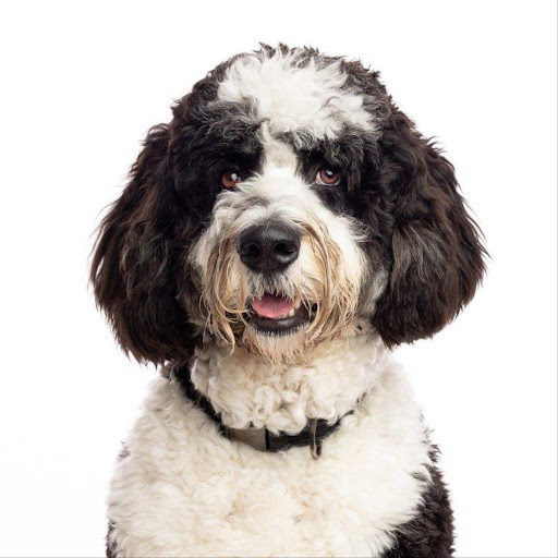 Insurance Agency «Ryan Gelbrich - State Farm Insurance Agent», reviews and photos