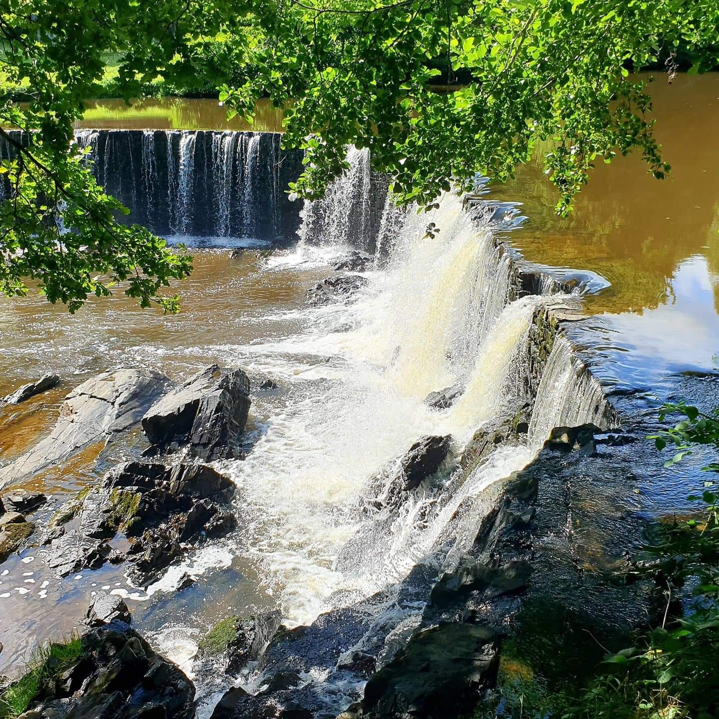 Photo n° 1 de l'avis de sacha. fait le 09/08/2021 à 09:08