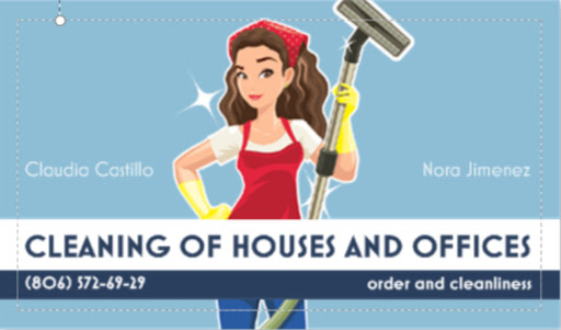cleaning of houses and offices in Plainview, Texas