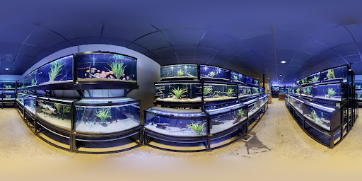 Pet Supply Store «Fish Gallery», reviews and photos, 26002 I-45, Spring, TX 77396, USA