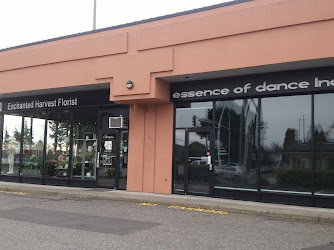 Essence Of Dance Inc