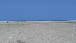 Zdjęcie Pazhaiyar Beach dziki obszar