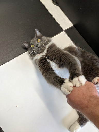 Pet Supply Store «Bark Avenue», reviews and photos, 3919 Park Dr, El Dorado Hills, CA 95762, USA