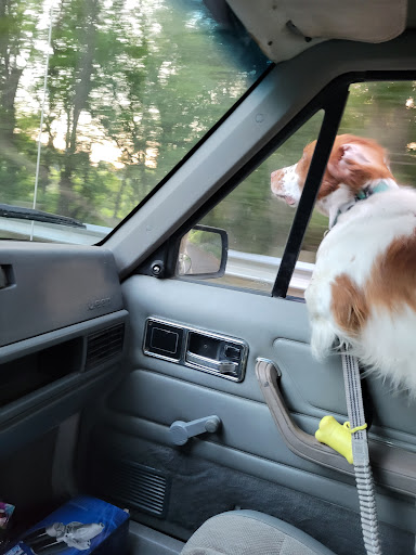 Nature Preserve «Bow in the Clouds Preserve», reviews and photos, 1805 Nazareth Rd, Kalamazoo, MI 49048, USA