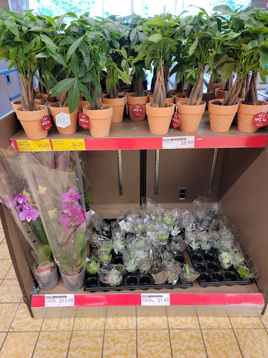 Supermarket «ALDI», reviews and photos, 1940 E Dorothy Ln, Kettering, OH 45420, USA