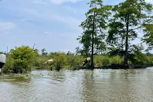 Swamp & River Tours image