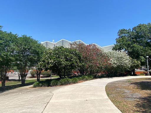 Park «Metropolitan Park», reviews and photos, 1410 Gator Bowl Blvd, Jacksonville, FL 32202, USA